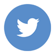 Twitter Icon